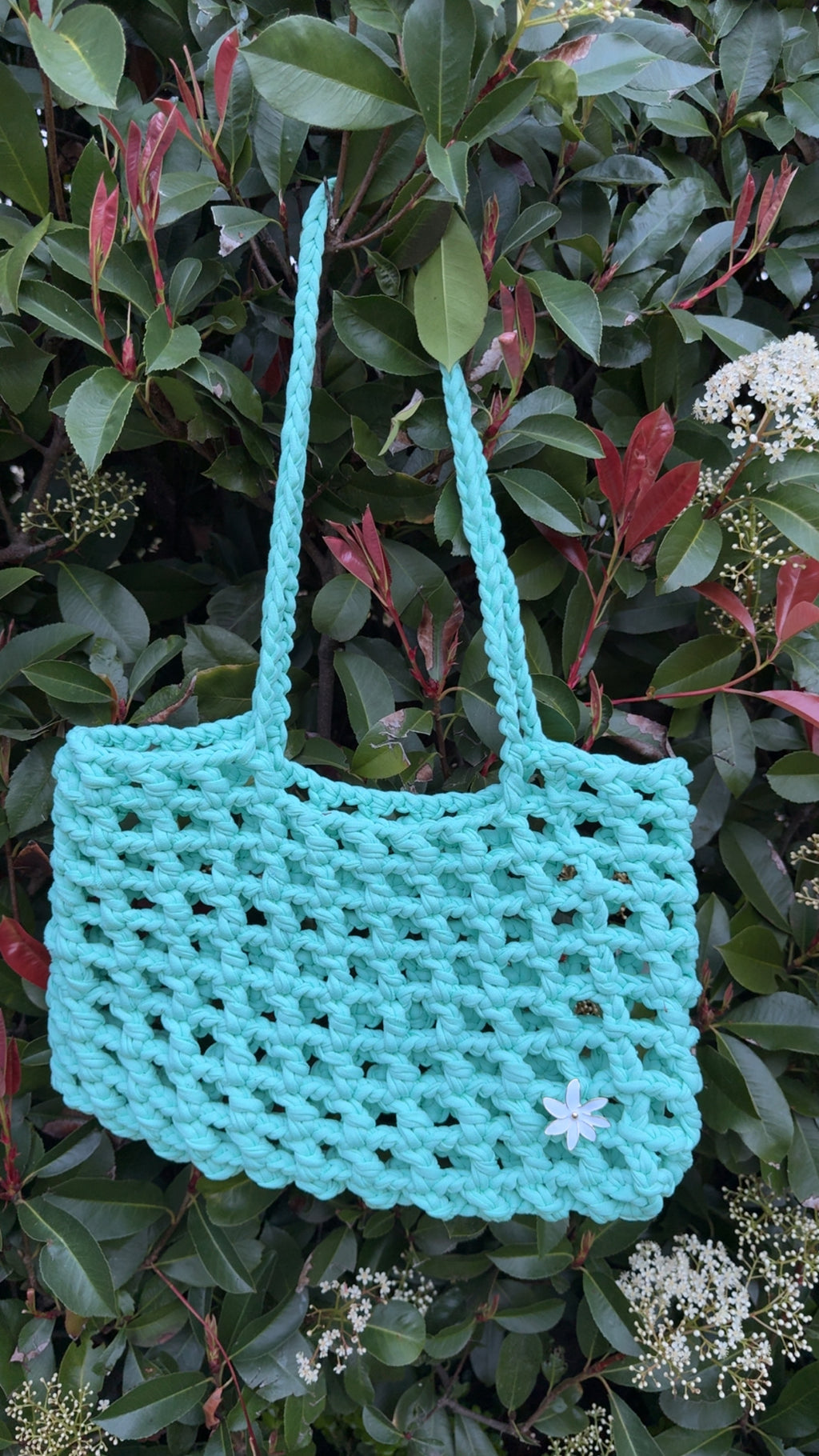 Tangaroa Mini 🌊🪼🏝️
