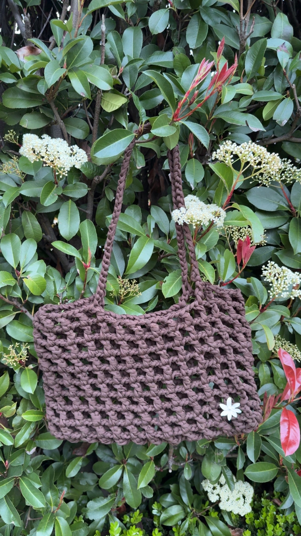 Tangaroa Mini 🌊🪼🏝️