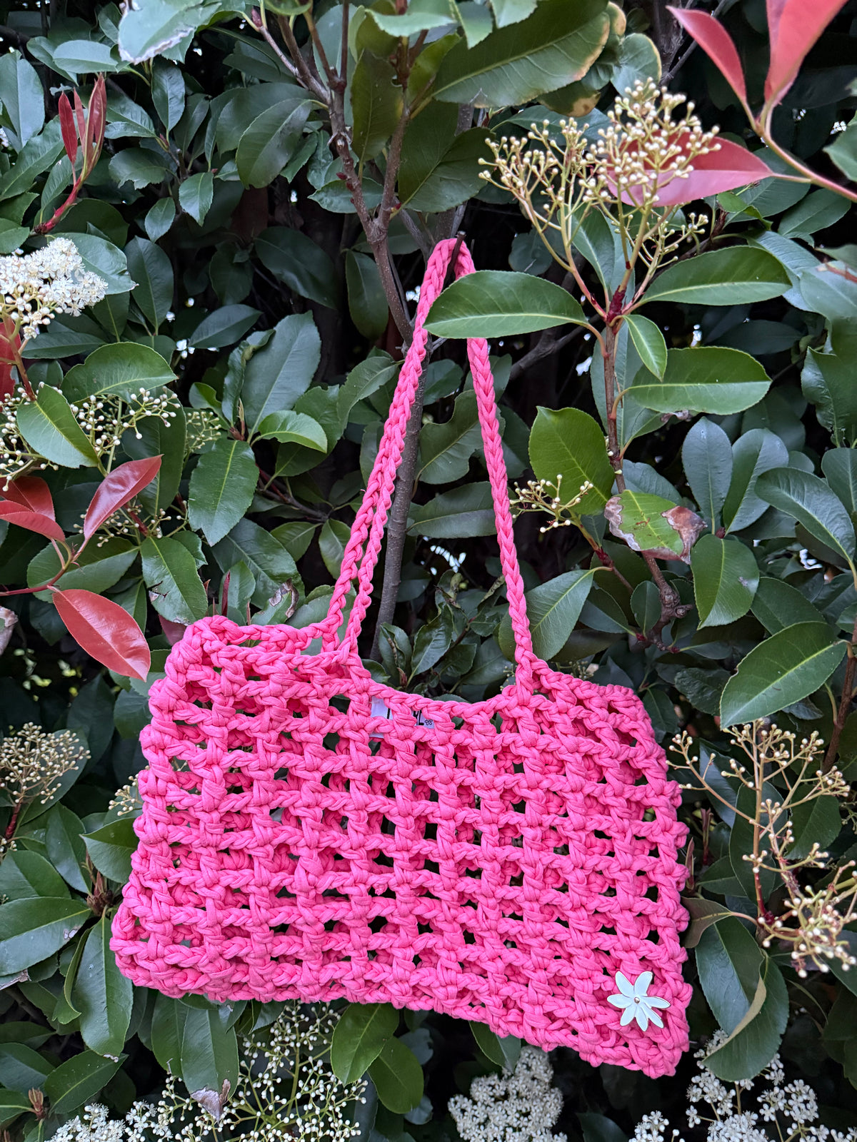 Tangaroa Mini 🌊🪼🏝️